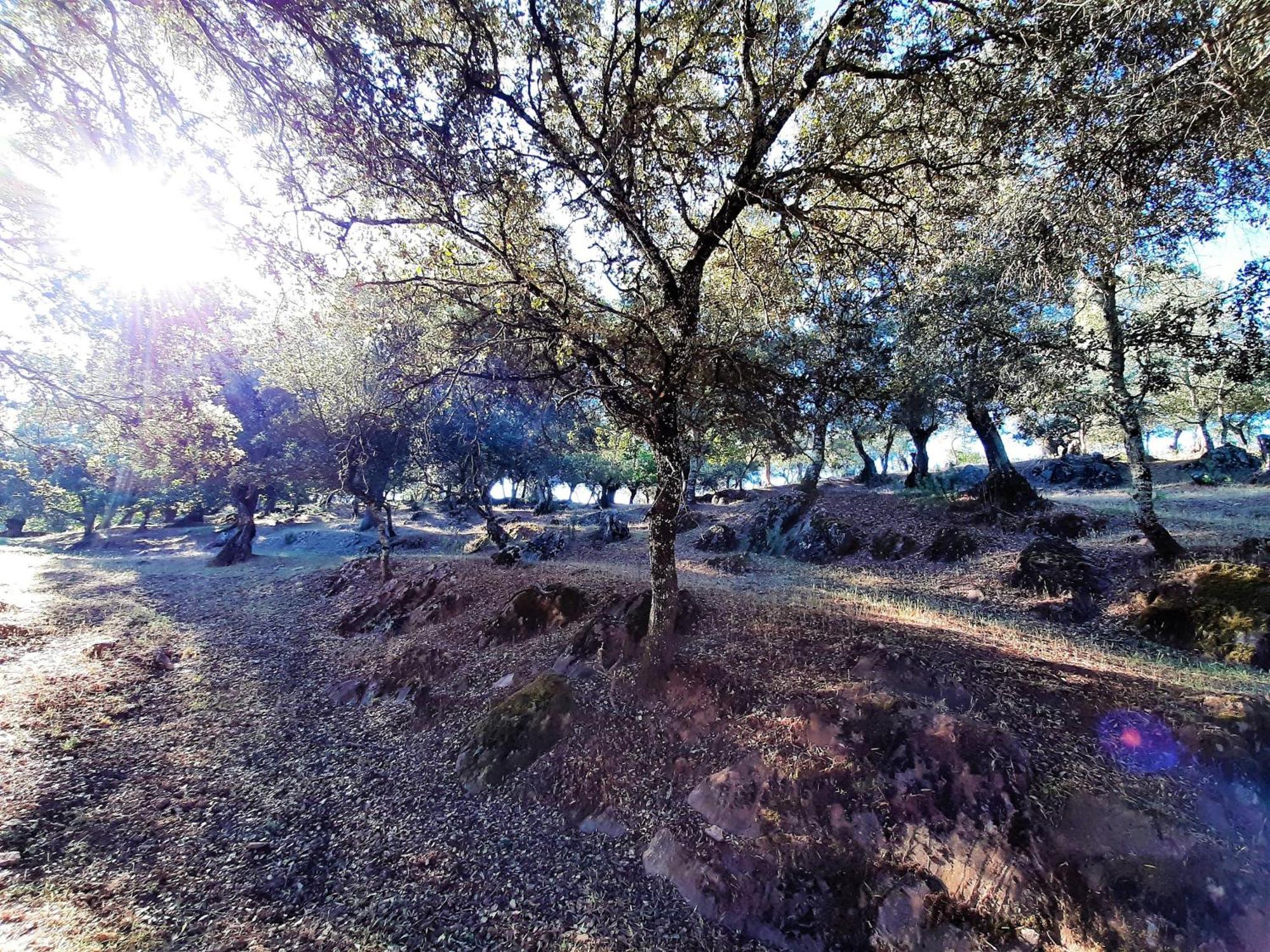 Casa Rural Gurumelo Aracena Buitenkant foto